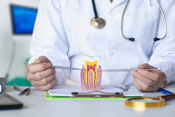 Best Broken or Cracked Tooth Emergency Dentist in Conrad, IA